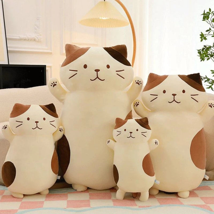 collection squishmallow chat