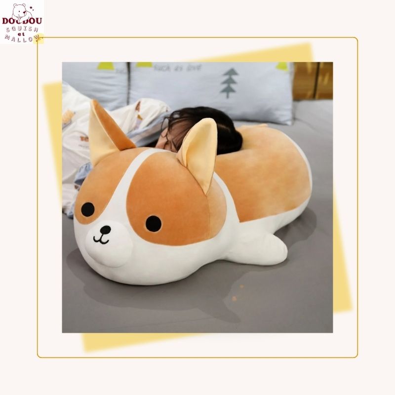 Squishmallow XXL chien Shiba Inu Marcus – Peluche fidèle et pleine de douceur