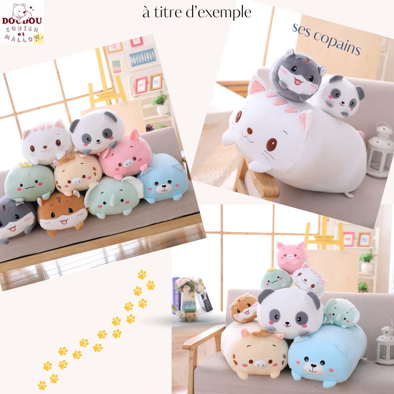 Squishmallow Cat Cookie Doudou Squish et Mallow