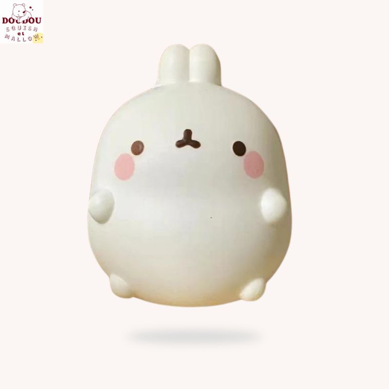 Squishy lapin MoLang