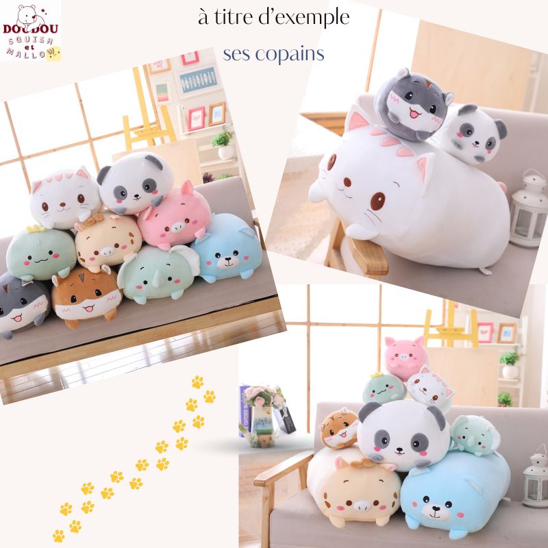 Peluche squishmallow chat Choupi