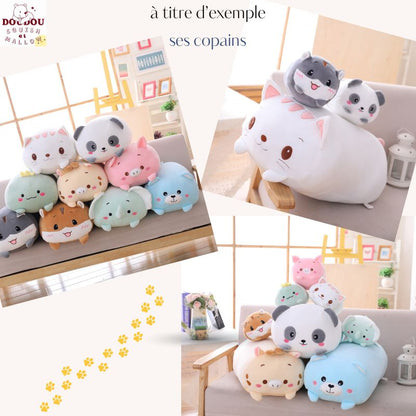 Peluche squishmallow chat Choupi