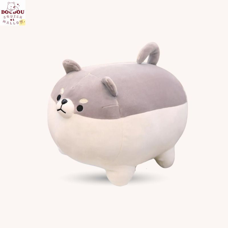 Peluche squishmallow chien Meeko