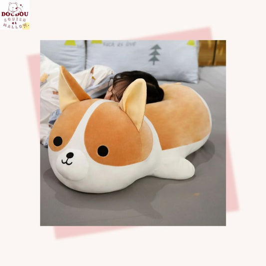 Peluche Shiba inu Argos